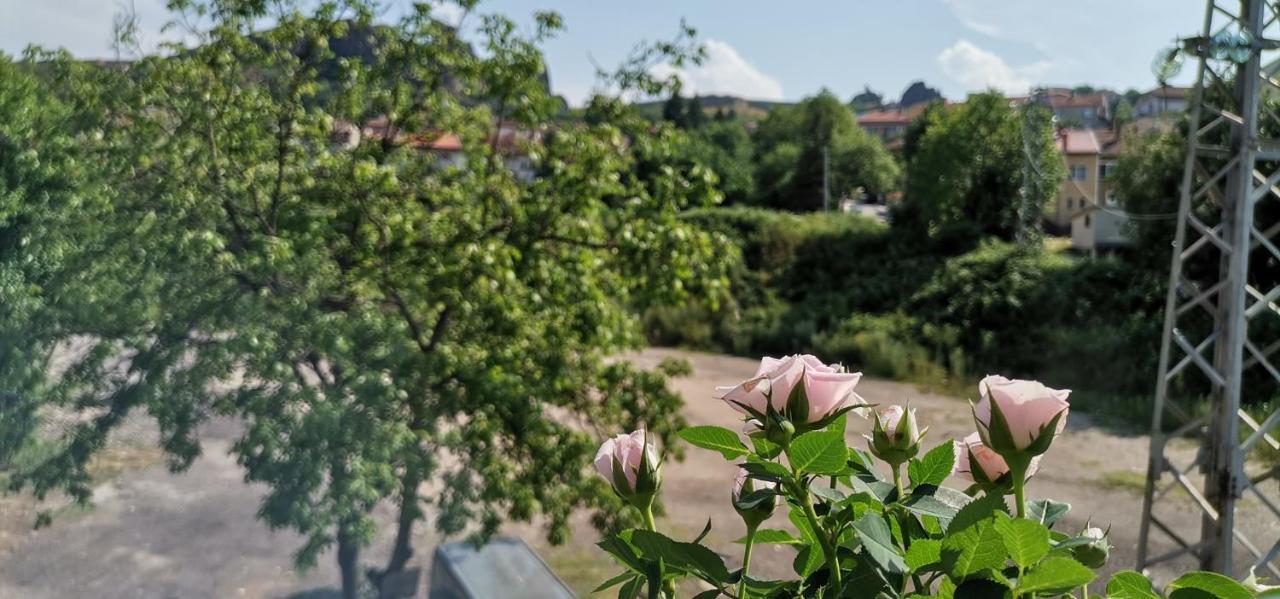 Fortress View Apartment Belogradtsjik Buitenkant foto